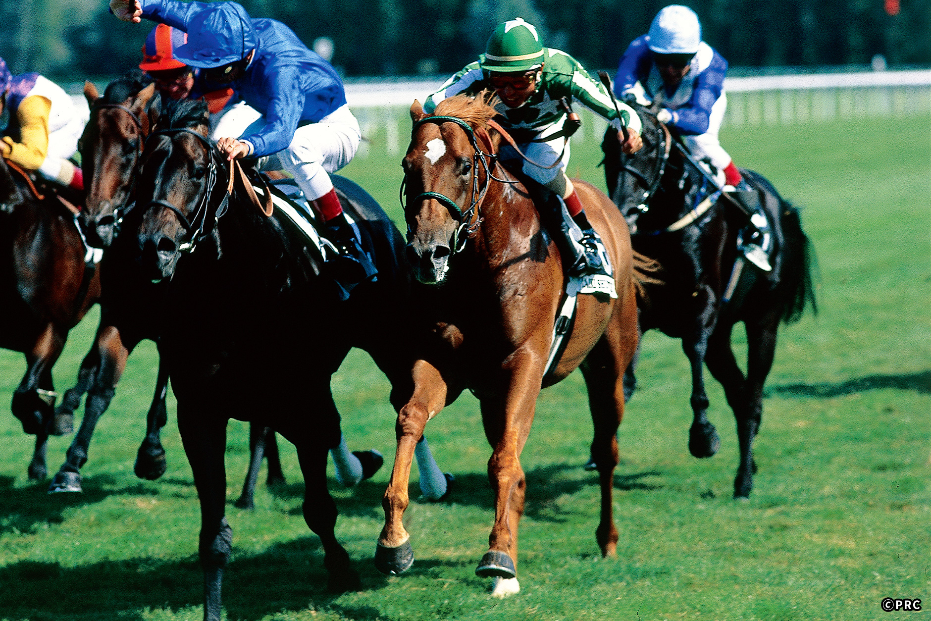 1998�N �D���n�F�^�C�L�V���g��