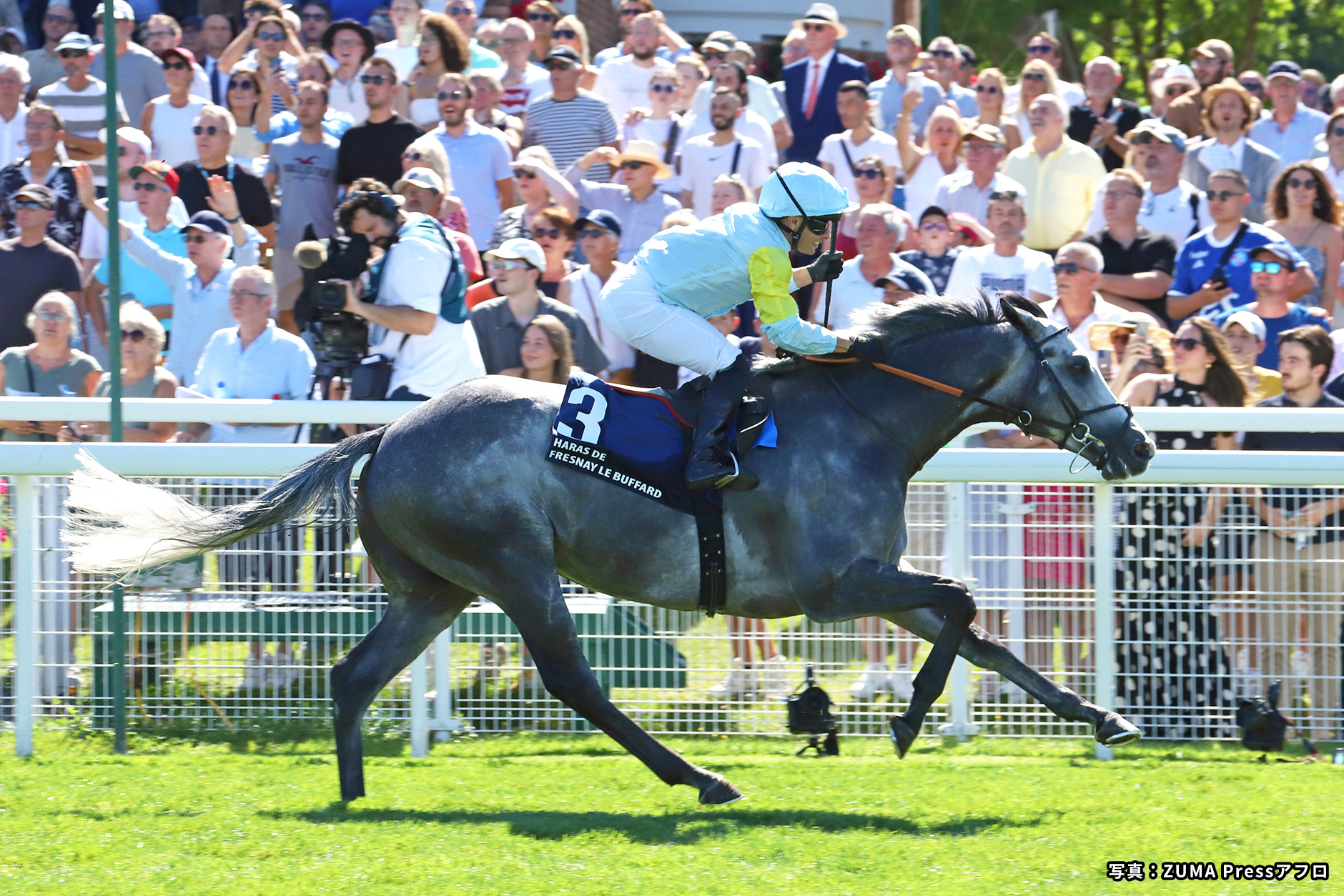 2024�N �D���n�F�`������