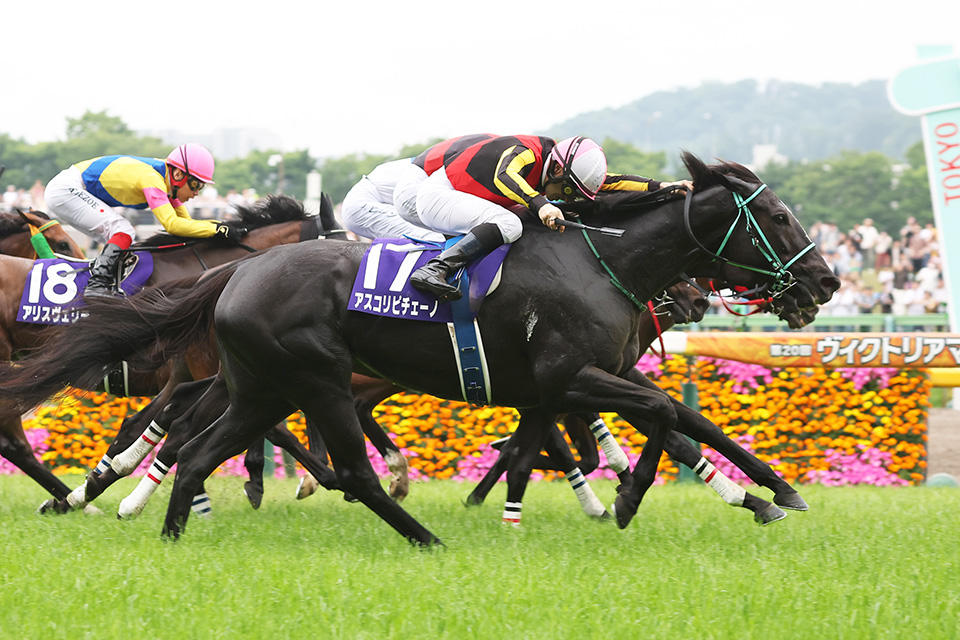 �A�X�R���s�`�F�[�m�̉摜