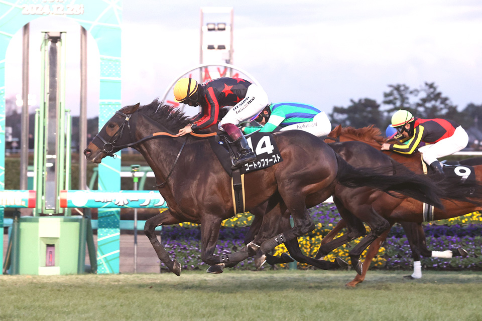 �S�[�g�D�t�@�[�X�g�̉摜