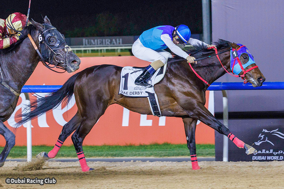 アドマイヤデイトナの画像