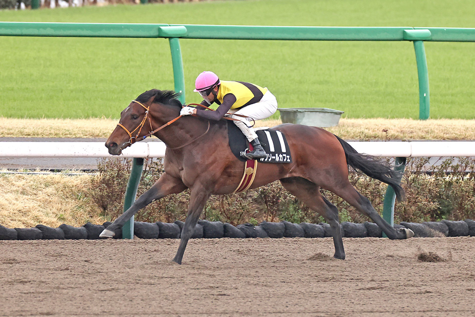 ルクソールカフェの画像