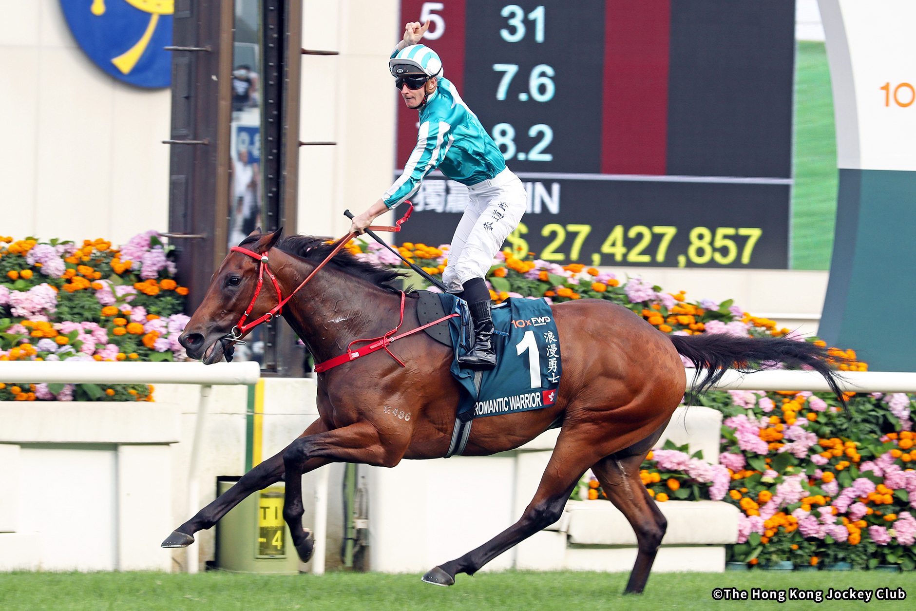 2023�N �D���n�F���}���`�b�N�E�H���A�[