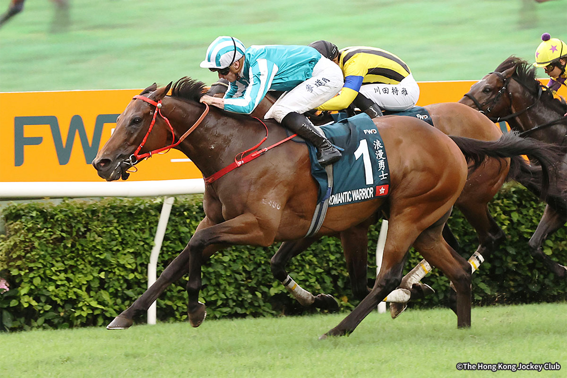 2024�N �D���n�F���}���`�b�N�E�H���A�[