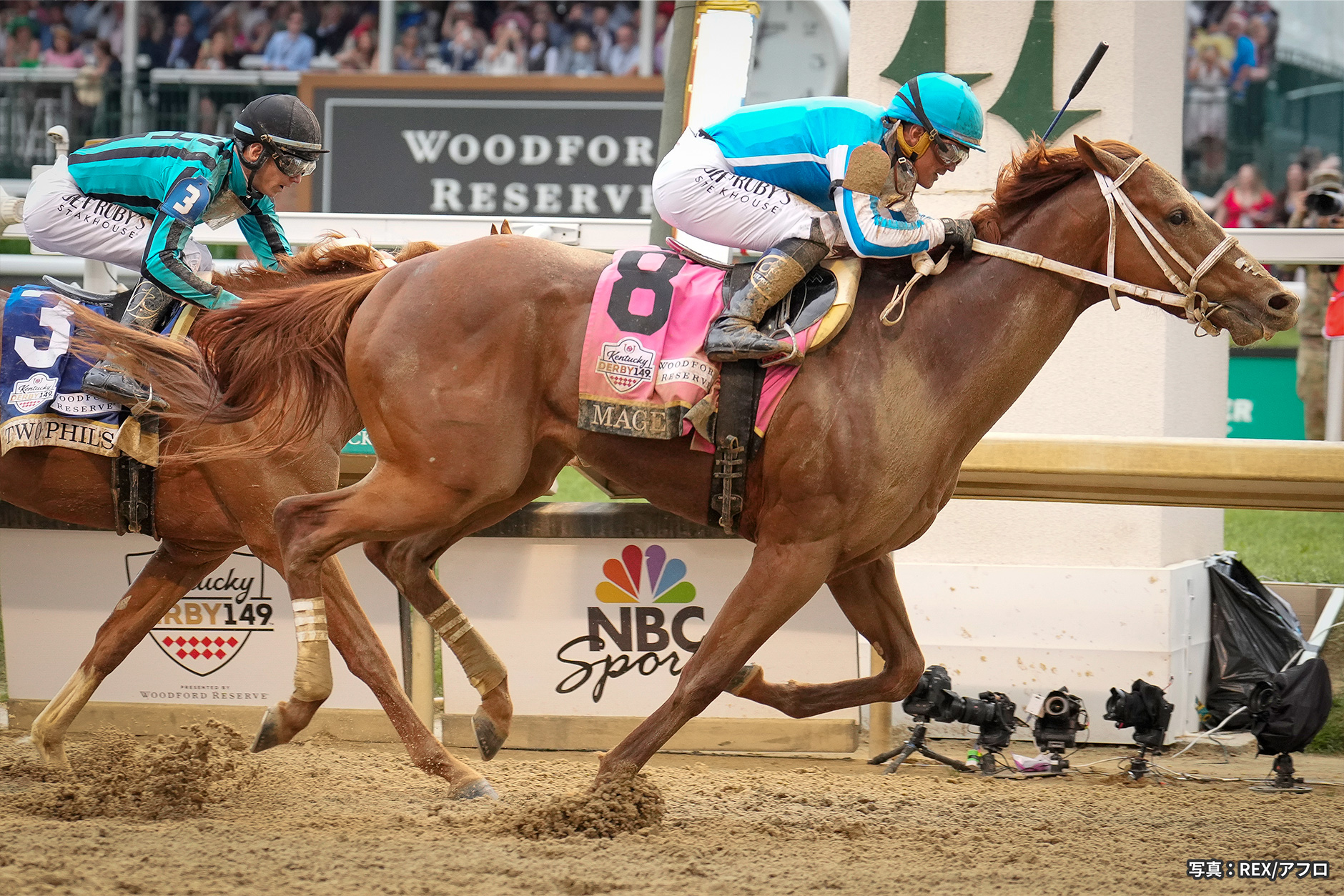 2023�N �D���n�F���C�W