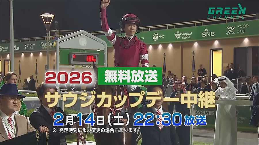 �O���[���`�����l���̃T���l�C���摜