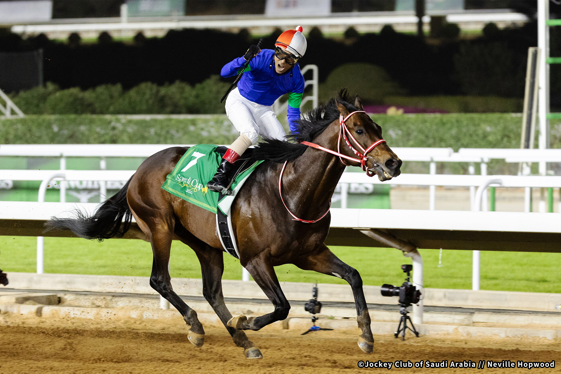 2023�N �D���n�F�p���T���b�T