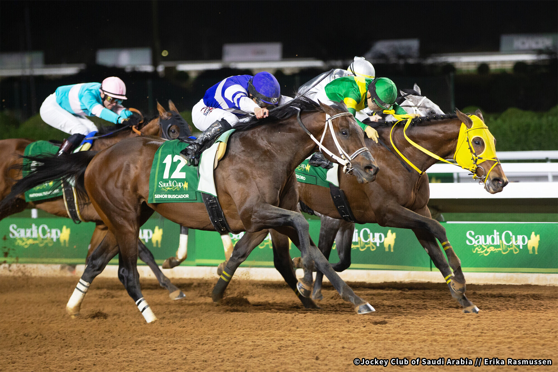 2024�N �D���n�F�Z�j���[���o�X�J�h�[��