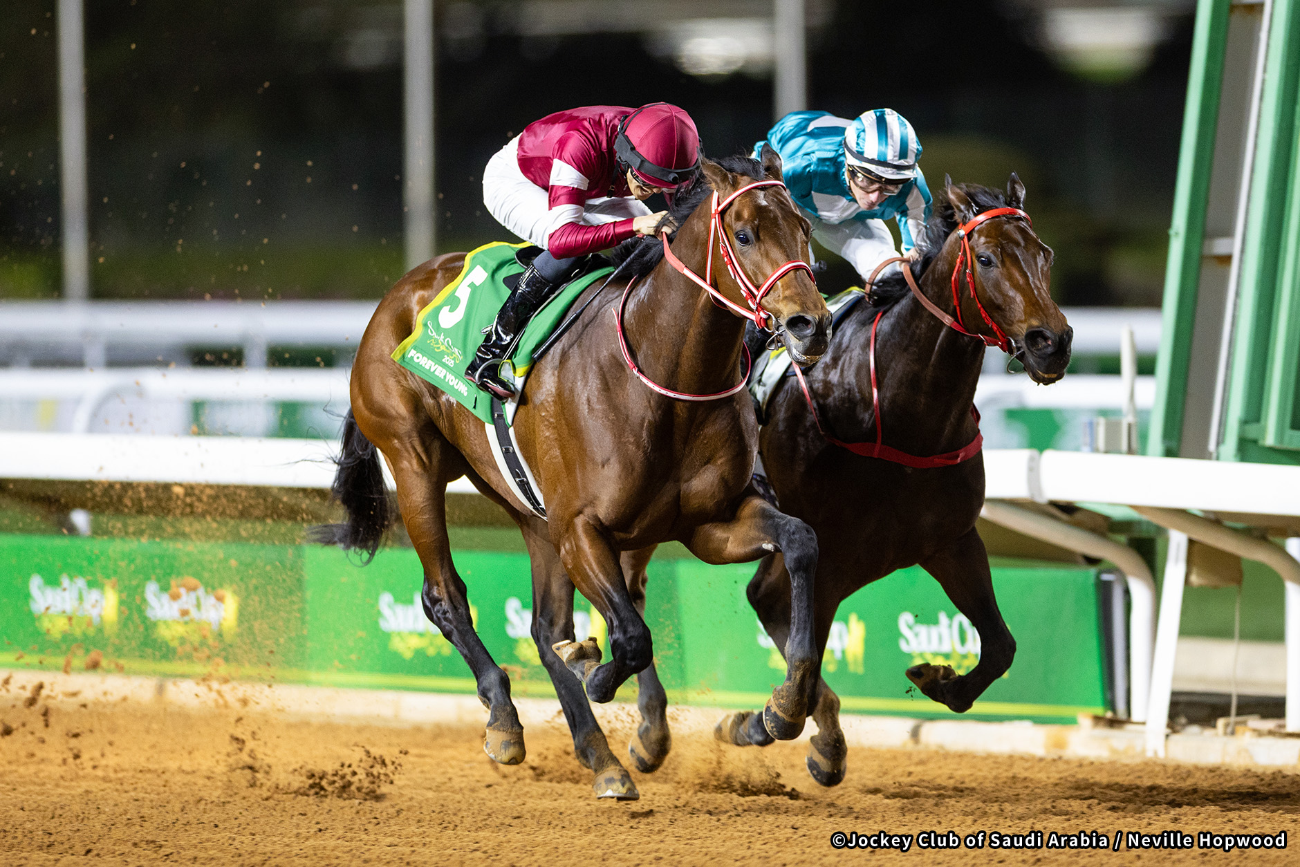 2025�N �D���n�F�t�H�[�G�o�[�����O