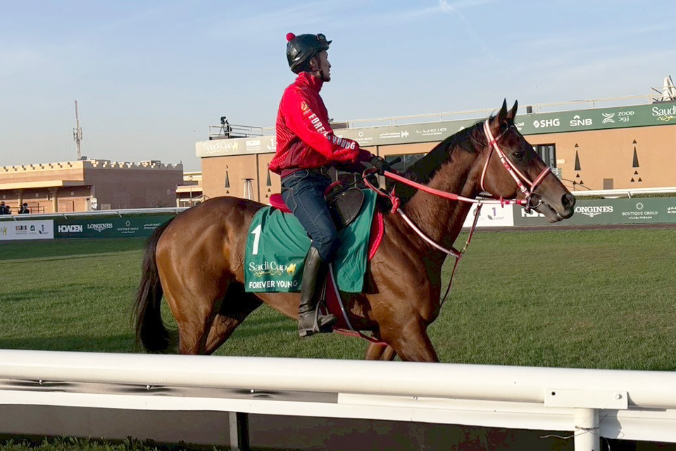 �t�H�[�G�o�[�����O�̉摜