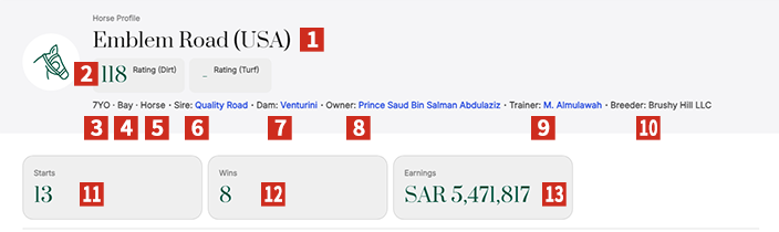 EMBLEM ROAD�̃v���t�B�[���̉�ʃL���v�`��