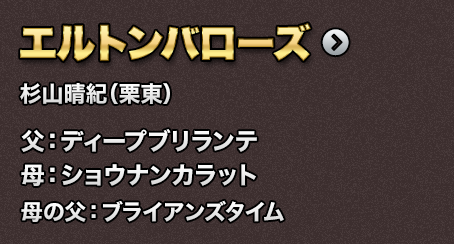 �G���g���o���[�Y