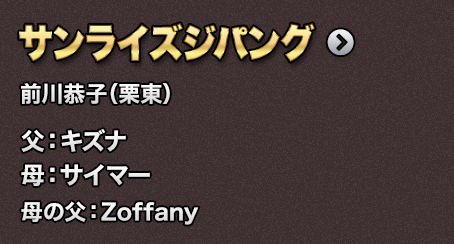 �T�����C�Y�W�p���O