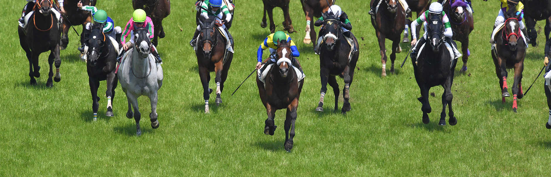 ����2�Δn�̃C���[�W�摜