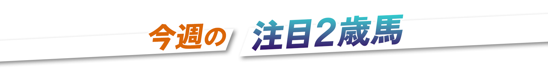 ���T�̒���2�Δn