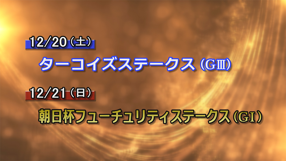 �d�܃v���r���[