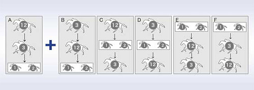 Ai1E2Ȃ1231A1232jBi1E2Ȃ3121A3122jCi2E3Ȃ1213A1223jDi2E3Ȃ3112A3212jEi2E3Ȃ1123A2123jFi2E3Ȃ1312A2312j