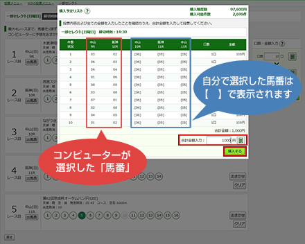 �w�����e�m�F��� �����őI�������n�Ԃ́y �z�ŕ\������܂�