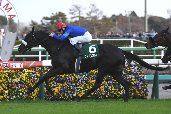 フィアスプライド