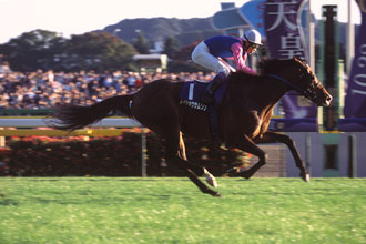 メイショウサムソン