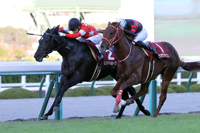 レッドベルオーブ