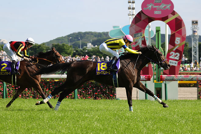 スターズオンアース