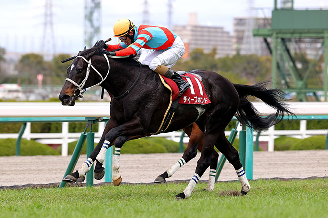 ディープボンド