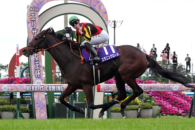 スタニングローズ