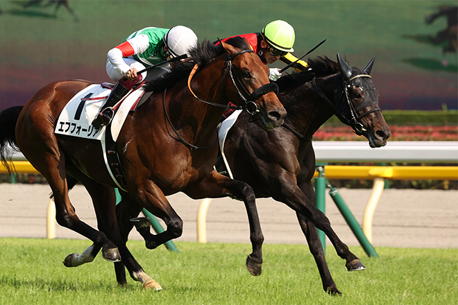 シャフリヤール