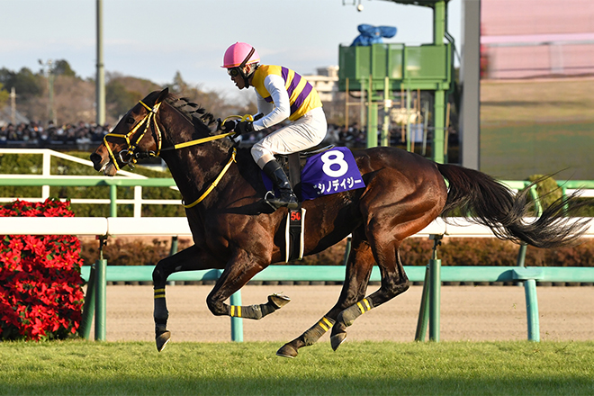 ニシノデイジー