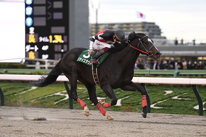 ドライスタウト