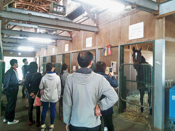厩舎内見学