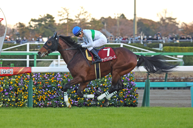 アイアンバローズ