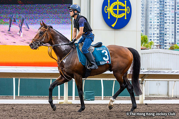 タスティエーラ