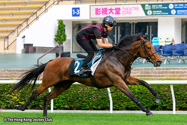 リバティアイランド