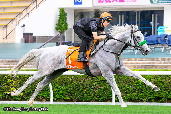 ガイアフォース