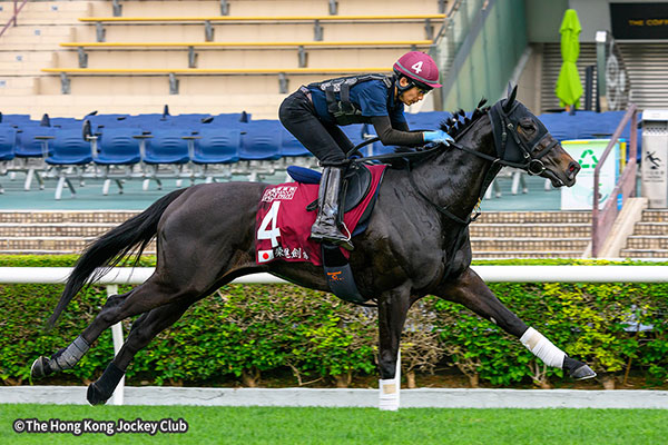 エイシンフェンサー