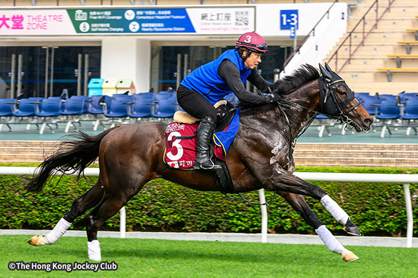 ダノンマッキンリー