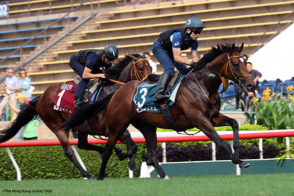 タスティエーラ