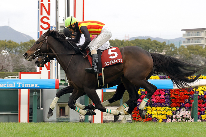 ヴェイルネビュラ