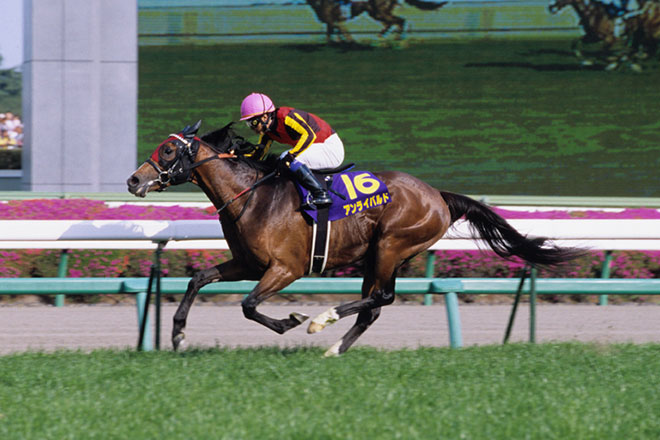 アンライバルド