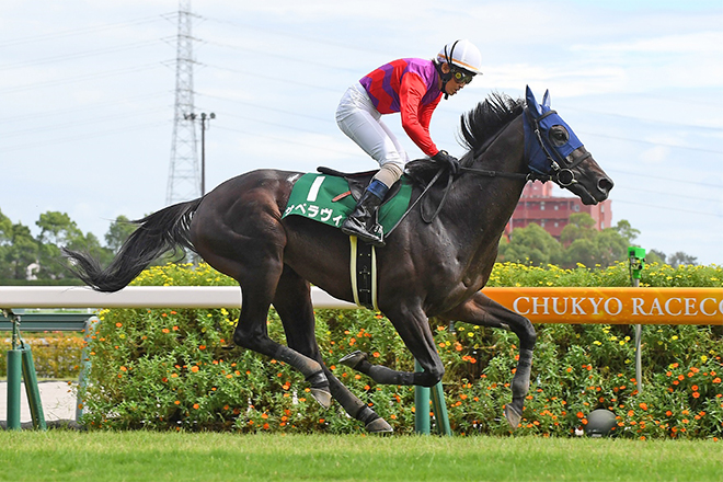 �T�y�����B