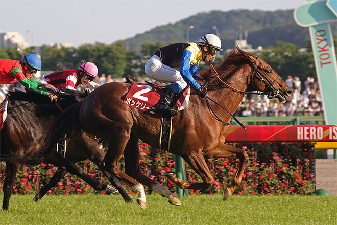 �{�b�P���[�j