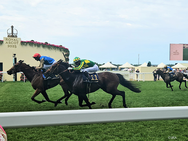 クイーンエリザベス2世ジュビリーステークス(G1)