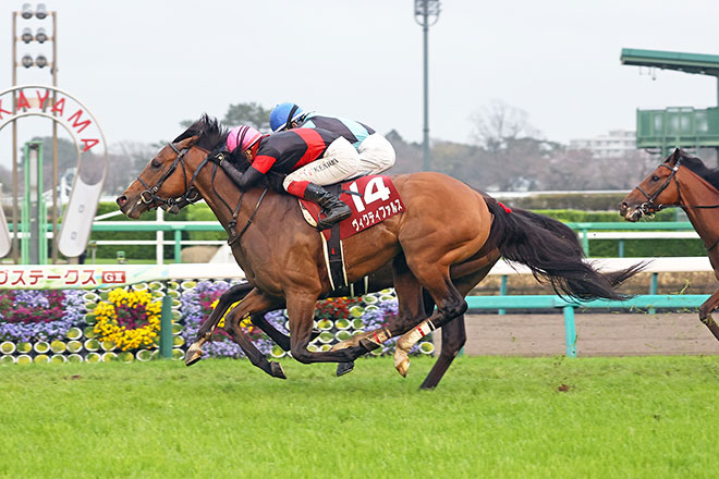 ヴィクティファルス