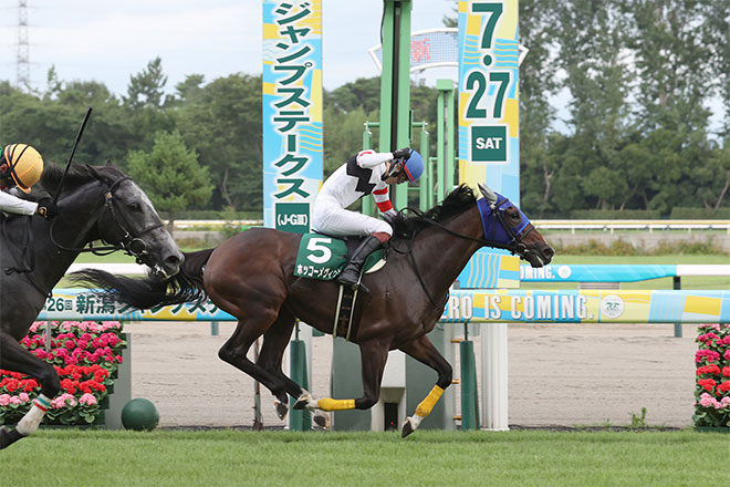 ホッコーメヴィウス