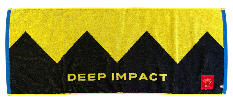 B܁@Ajo[T[z[XfUCX|[c^I@fB[vCpNgo[W