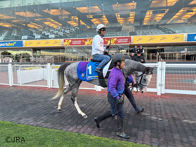 ゴールデンスナップ