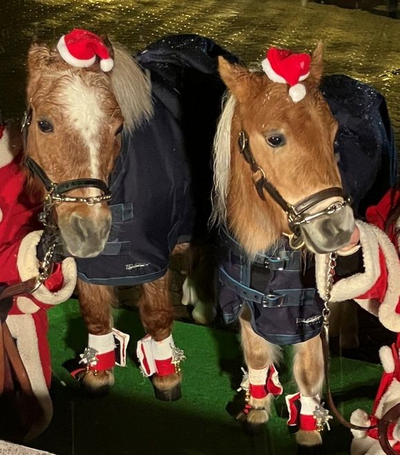 ポニー記念撮影会