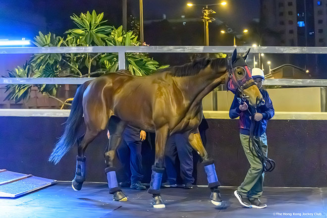 エンブロイダリー